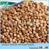 Hulled Buckwheat Groats and Roasted Buckwheat,2013 Green buckwheat Kernel