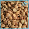 China 2013 Hulled Buckwheat, Raw Buckwheat, 2013 Roasted buckwheat Groats From Inner Mongolia Grade 
