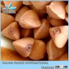 hulled buckwheat kernel roasted, unhulled unroasted