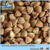 Premium Raw buckwheat,roasted buckwheat, Buckwheat With Grade A