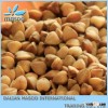 2014 New Hulled Roasted Buckwheat Kernel Cereal Price