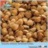 New Crop Roasted Buckwheat Kernel, Buckwheat Groats, Hulled Buckwheat