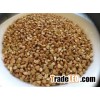 Toasted Hulled Buckwheat
