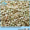 hulled buckwheat kernel/roasted and raw buckwheat for sale