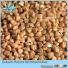 China Premium Buckwheat 2013 Crop With Quality A- Competitive Price From Inner Mongolia-China!