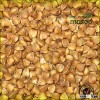 Made in china good price Roasted Buckwheat Kernels