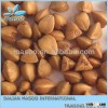 Crop 2014 Good Quality Hulled Buckwheat with Top A