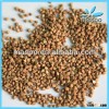 roasted buckwheat, unhulled and hulled, China, Inner Mongolia origin.. .