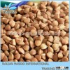 Buckwheat and Roasted Buckwheat,2013 Green buckwheat Kernel