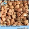 New 2014-Light Brown Hulled Roasted Buckwheat Groat