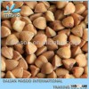 Best Price for Hulled Roasted buckwheat, Buckwheat, Raw Buckwheat for Sale