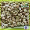 Supply different kind of buckwheat/green buckwheat