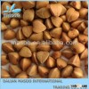 Crop 2012 Chinese Hulled Buckwheat Groats Premium !