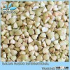 China hulled buckwheat kernel & roasted and raw buckwheat for sale..