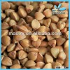 roasted buckwheat, unhulled and hulled,China, Inner Mongolia Origin.. .