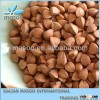 Best Price for Hulled Roasted Buckwheat For Sale Hot!