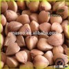 Crop 2013 Quality Hulled Roasted Buckwheat Kernel