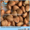 buckwheat, roasted buckwheat, roasted buckwheat kernel