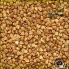 Top quality roasted buckwheat kernel great price