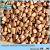 New Light Brown Hulled Roasted Buckwheat Groat