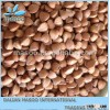 2013NEW! MASOO buckwheat,roasted buckwheat, unhulled and hulled