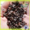 china top quality 2014 crop raw buckwheat in factory price