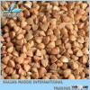 2014 Crop Certified Organic Raw Buckwheat Grade A
