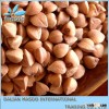 Roasted buckwhat New crop bulk wheat buckwheat