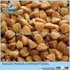 2013 new crop roasted buckwheat kernel Gold golden organic Large No Pesticides