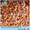 Roasted and raw buckwheat for sale -2013 MASOO FOOD