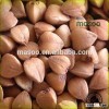 Buckwheat Husks/Hulls, hulled buckwheat groats