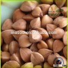 Husk of buckwheat, dark buckwheat flour for sell