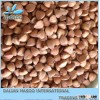 2012 hot ! roasted buckwheat kernel, roasting buckwheat