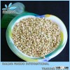 2013 Hot Promotion Hulled Green Non Gmo Buckwheat