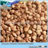 best price tartary buckwheat in China Inner Mongolia