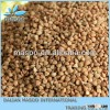 2012 new crop China Mainland origin buckwheat....