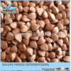 masoo FOOD buckwheat,roasted buckwheat, unhulled and hulled