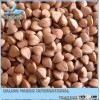 2013 crop buckwheat,roasted buckwheat, unhulled and hulled