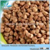 2013 China new Buckwheat Flour and Groats buckwheat