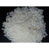 Japonica Rice / Short Grain Round Rice / Calrose Rice