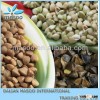 2013 - china 1000g buckwheat,buckwheat raw ,buckwheat hull and buckwheat flour, kernel