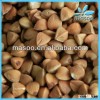 Inner Mongolia origin China Masoo buckwheat mill