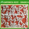 KDM FRAGRANT WHITE RICE - ORIGINAL THAILAND
