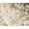 CAMOLINO RICE 5% BROKEN FROM ASIA