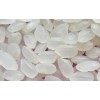 JAPONICA RICE 5% BROKEN - Sales5@vinarice.vn