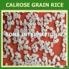Vietnam Calrose medium grain rice 5% broken -Good Quality