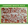 WWW.VINARICE.VN - Jasmine frangrant rice 5% broken - High quality