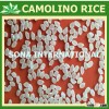JAPONICA GRAIN RICE SIMILAR CAMOLINO RICE