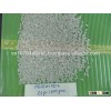 SHORT GRAIN RICE