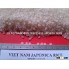 High Quality White round grain rice/Japonica Rice -Viber/Whatsapp/Tango: +84905.209.103 -Skype: anth